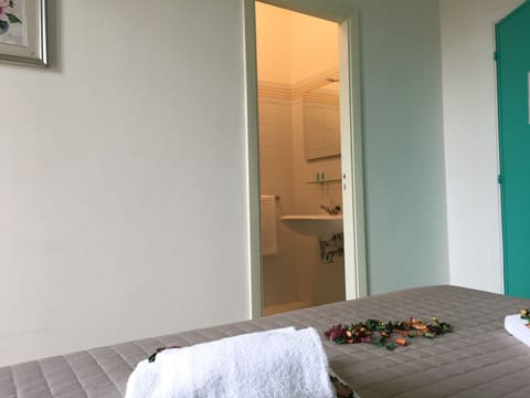 Shower, free toiletries, hair dryer, bidet