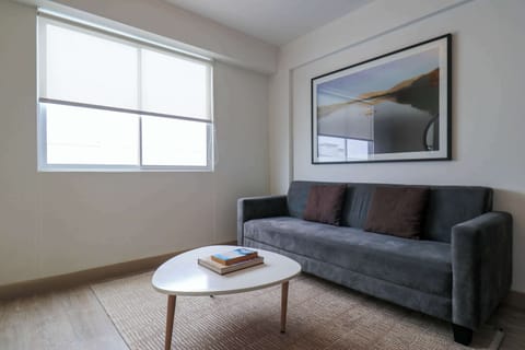 Cozy and modern living room