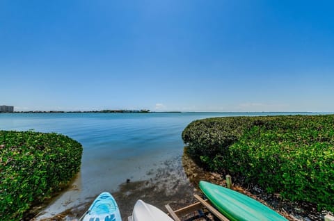 35-web-or-mls-Palma Del Mar Water View 1a