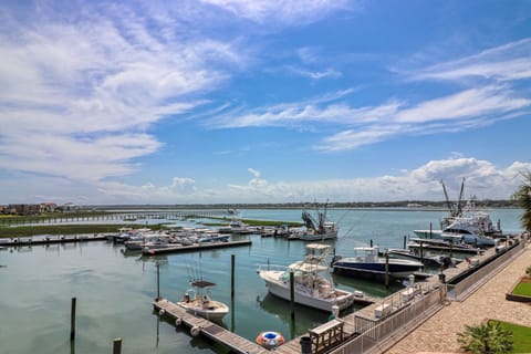 Marlin Quay 204