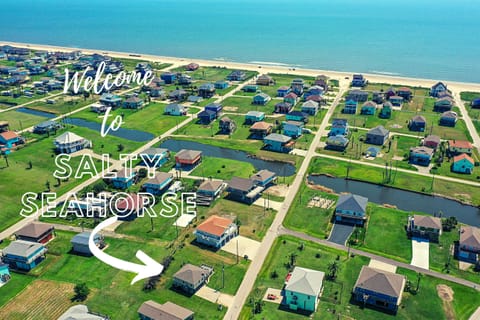 Welcome to the Salty Seahorse Studio!
