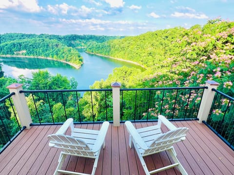 Lake Cumberland views with mimosa tree that attracts humming birds.