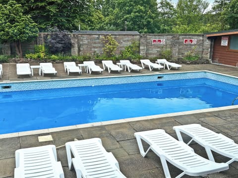 Swimming pool | Twit Too Woo, Cenarth, near Newcastle Emlyn