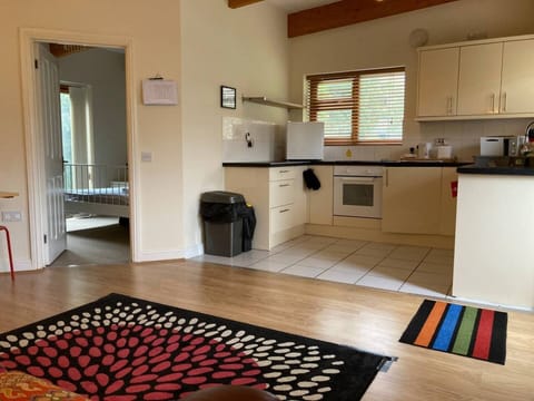 Apartment | Private kitchen | Fridge, microwave, oven, stovetop