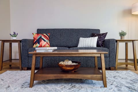 Living Room | Sofa Sleeper