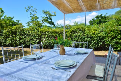 Basic Apartment | Terrace/patio