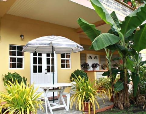 STUDIO APARTMENT - Front View - Left