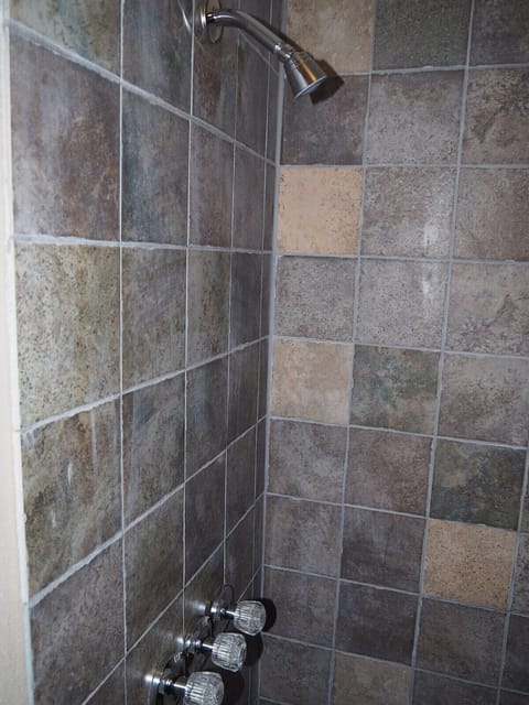 BATHROOM: Features a shower and toilet. (Note that there is no vanity, sink, or mirror in the bathroom.)