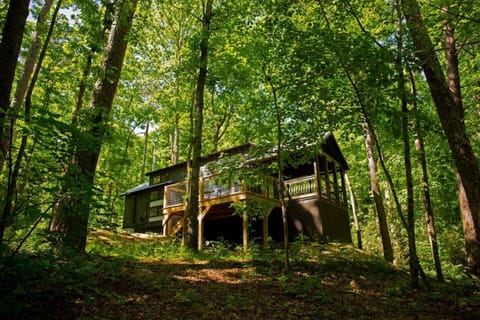 The East Fork Cottage is nestled in the woods next to the East Fork of the Little River. Easy access to the water where you can float, swim, or kayak out. There is also a walking trail on site along the water.