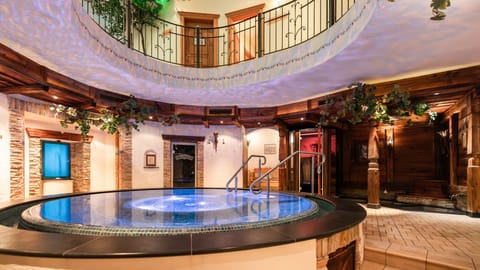 Sauna, steam room, 1 treatment room