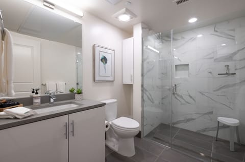 Spacious, well-lighted Bathroom with Designer-style finishes.