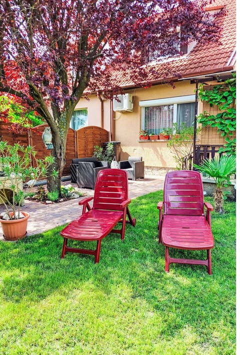 Plant, Property, Building, Furniture, Window, Green, Tree, Outdoor Furniture, Leisure, Flowerpot