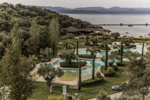Seasonal outdoor pool, pool umbrellas, sun loungers