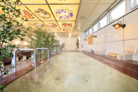 Combined shower/tub, spring water tub, rainfall showerhead