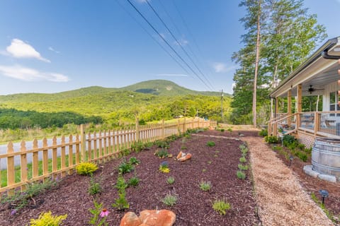 Mt. Yonah views and across the street from Serenity Cellars Winery!