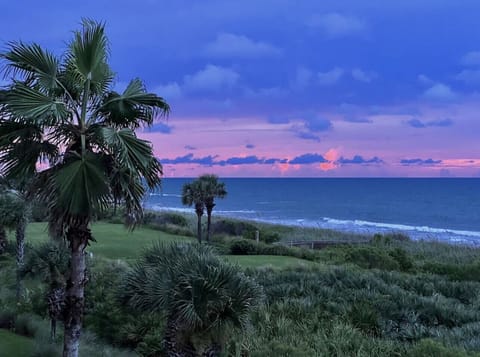 Your balcony view!