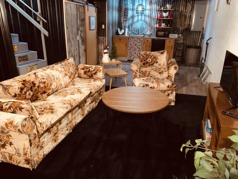 Downstairs living sleeper sofa