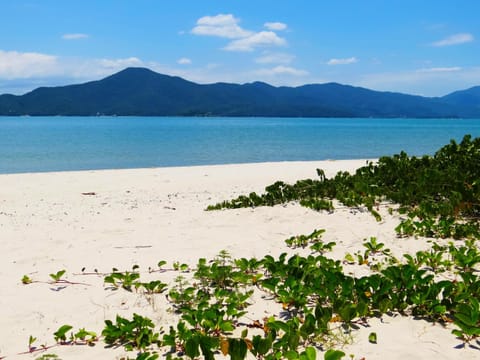Beach nearby, white sand, sun loungers, beach umbrellas