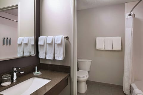 Combined shower/tub, free toiletries, hair dryer, towels