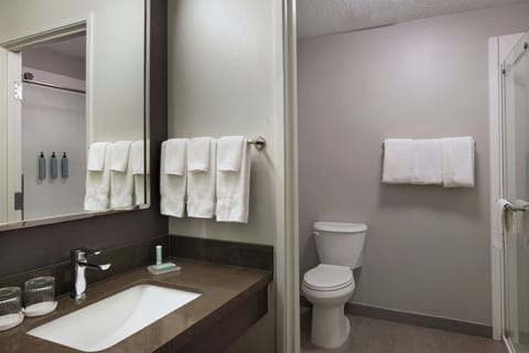 Combined shower/tub, free toiletries, hair dryer, towels