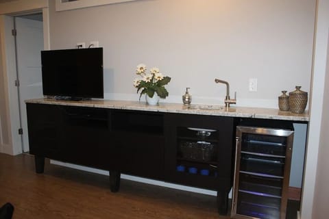 Downstairs wet bar