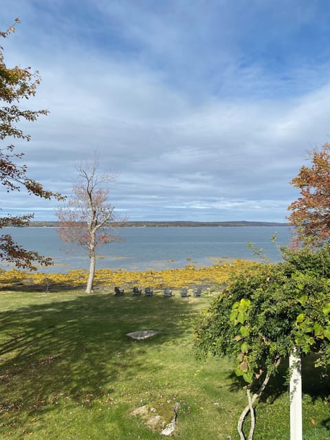 View of the bay from the yard