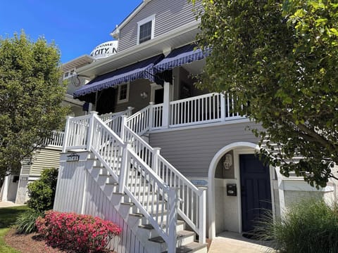 Blooming flowers at the front