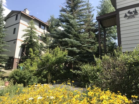 Summer view of building