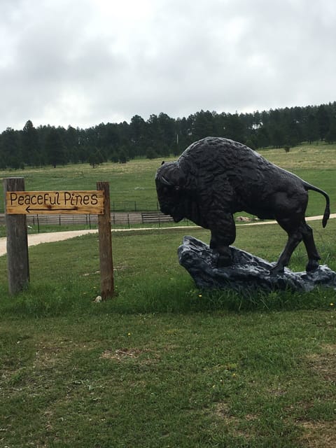 Welcome to Peaceful Pines 25444 Sidney Park Rd 