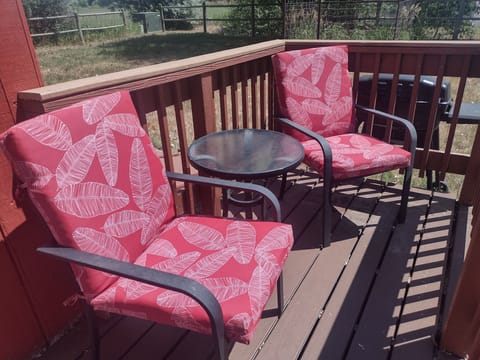 New patio chair cushions, Gas grill in background.