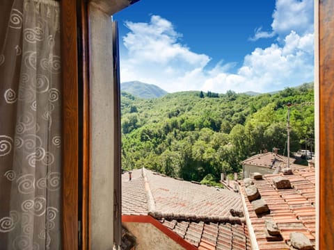 House | View from property