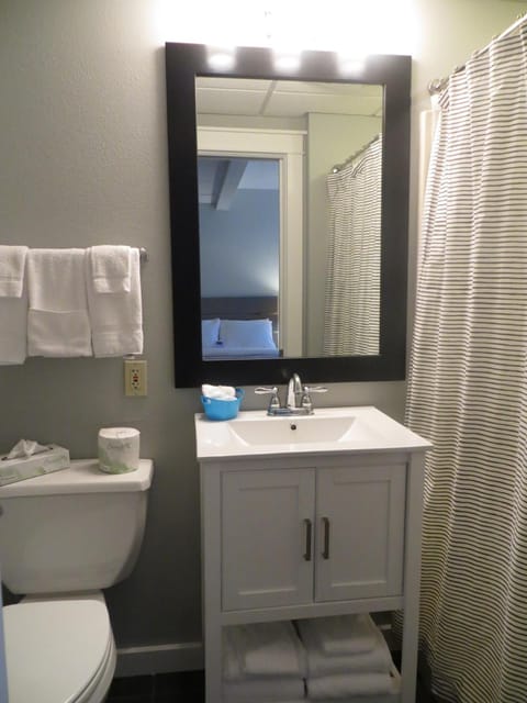 Combined shower/tub, free toiletries, hair dryer, towels