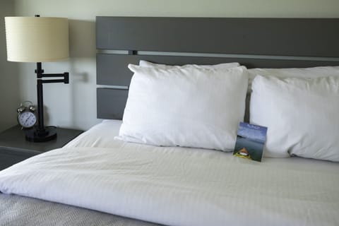 Standard Studio, 1 Queen Bed, Refrigerator & Microwave, Lake View | Pillowtop beds, soundproofing, free WiFi, bed sheets