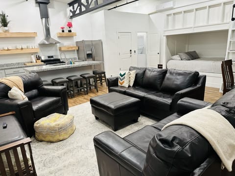 Main Living area, sofa pulls out into bed.