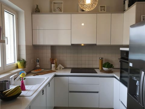 Apartment (Two Bedroom Apartment) | Private kitchen | Fridge, coffee/tea maker, highchair, dining tables