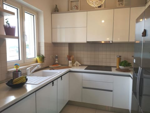 Apartment (Two Bedroom Apartment) | Private kitchen | Fridge, coffee/tea maker, highchair, dining tables