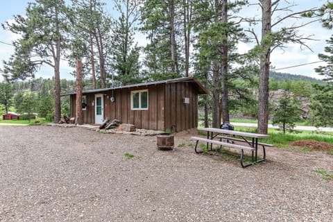 Grill, Fire Pit, Picnic Table