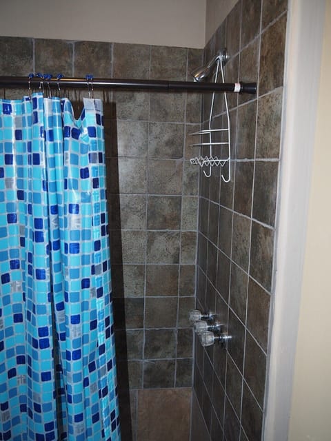 BATHROOM: Features a shower and a toilet. (Note that there is no vanity, sink, or mirror in the bathroom.)