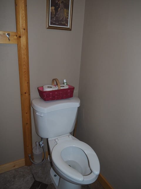 BATHROOM:  Features a shower and a toilet.  (Note that there is no vanity, sink, or mirror in the bathroom.)