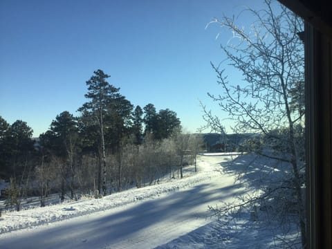 Paved Road in front . 
