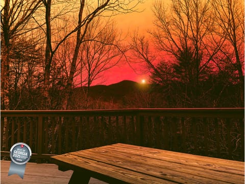 Little Andy Mountain Cabins Voted Best of GA 2025