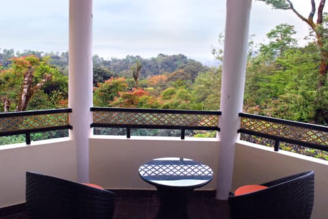 Deluxe Room | Balcony