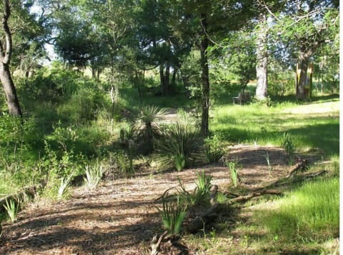 Walking trail across the 6.5 acres