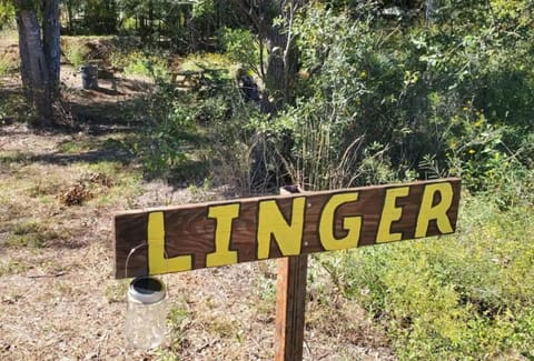 Linger the first campsite