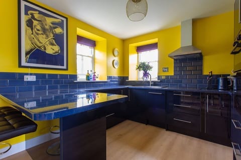 Lowtown Cottage - kitchen with sleek blue integrated cabinets