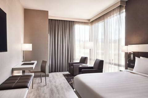 Premium bedding, down comforters, in-room safe, desk