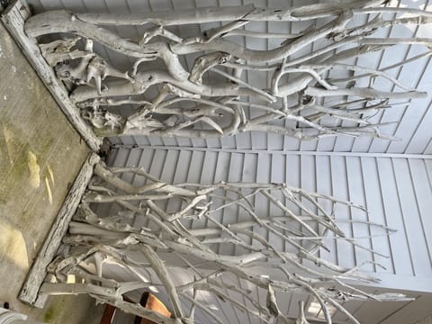 Mangrove Entry Corner