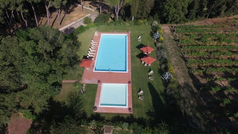 Swimming Pool, Garden, Composite Material, Shade, Lawn, Yard, Plantation, Backyard, Landscaping