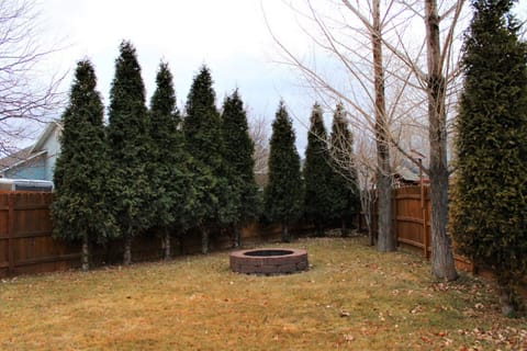 Fire pit in southwest corner of yard