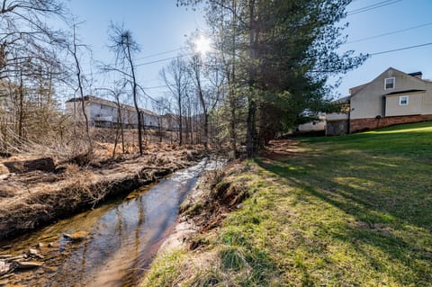 Peaceful creek in backyard.